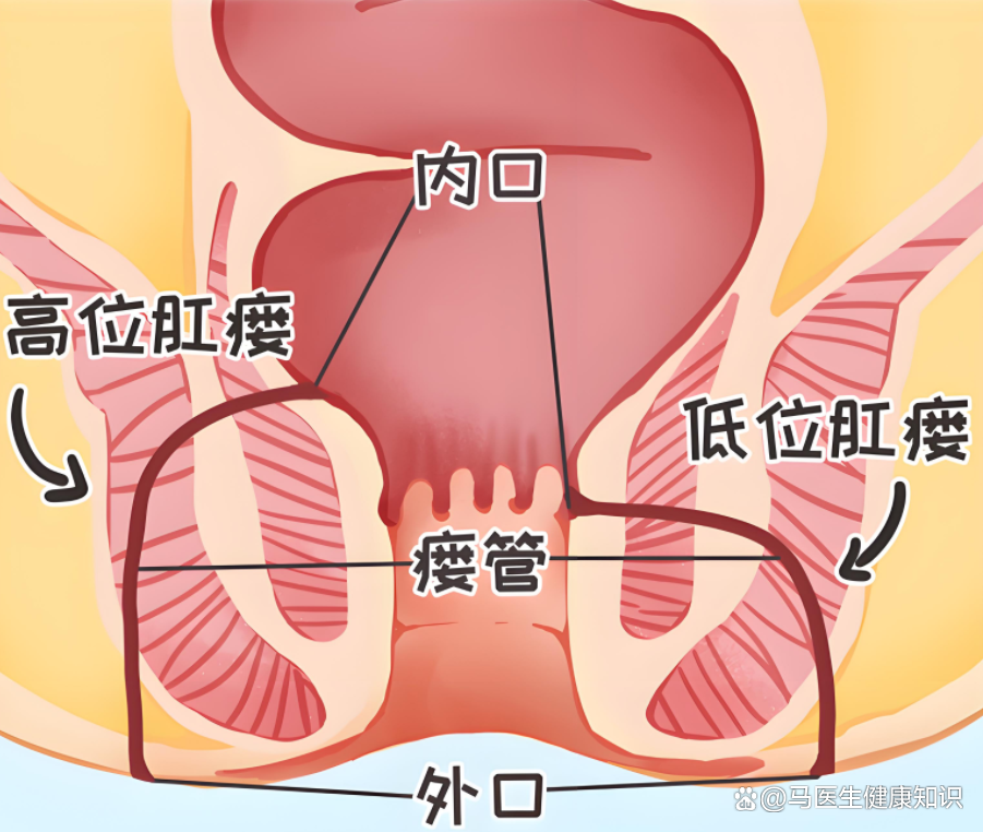 15350a2a0ff70c19145b195b556fe589