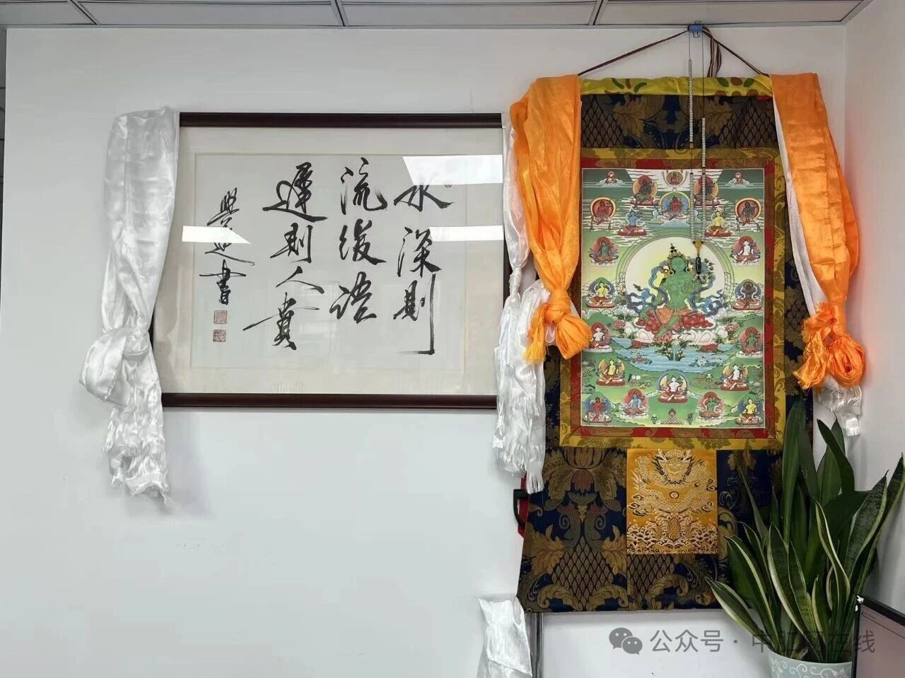 微信图片_2026-02-03_092223_733 微信图片_2026-02-03_092223_733