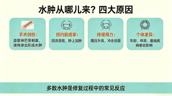 c5eb2d16-7e4d-4001-9544-088c0435f225