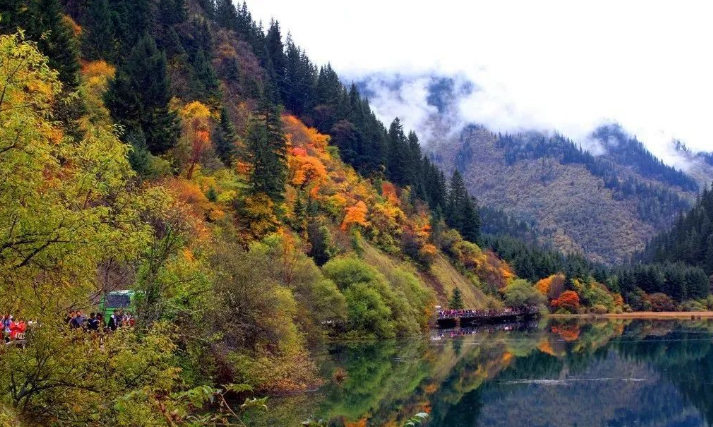 QQ图片20221116170623