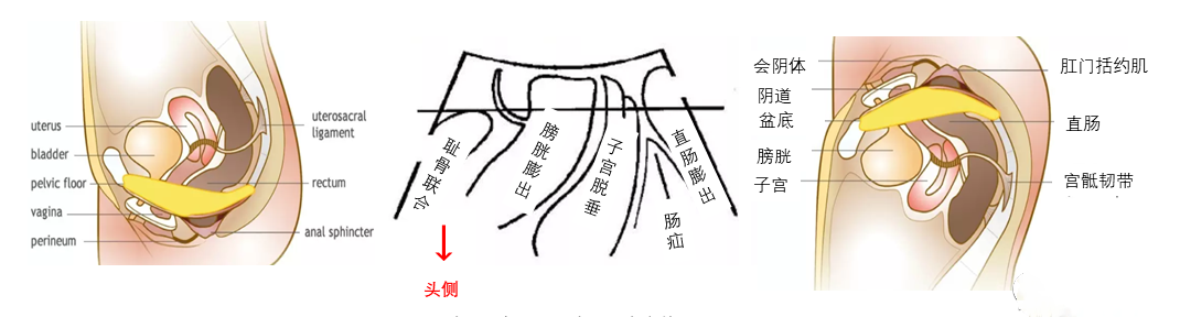 微信图片_20240822101648